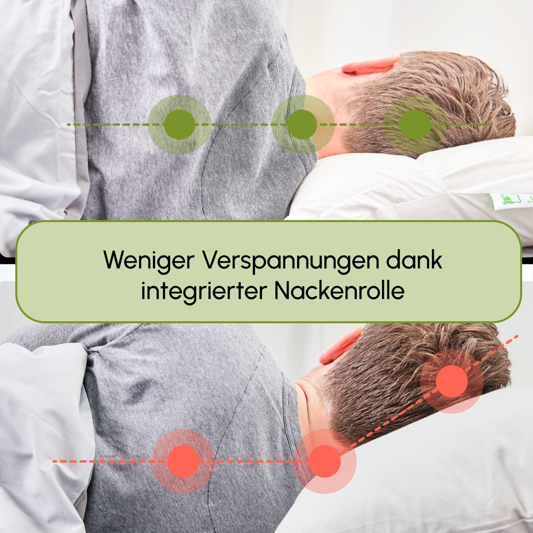 HOME Nackenkissen