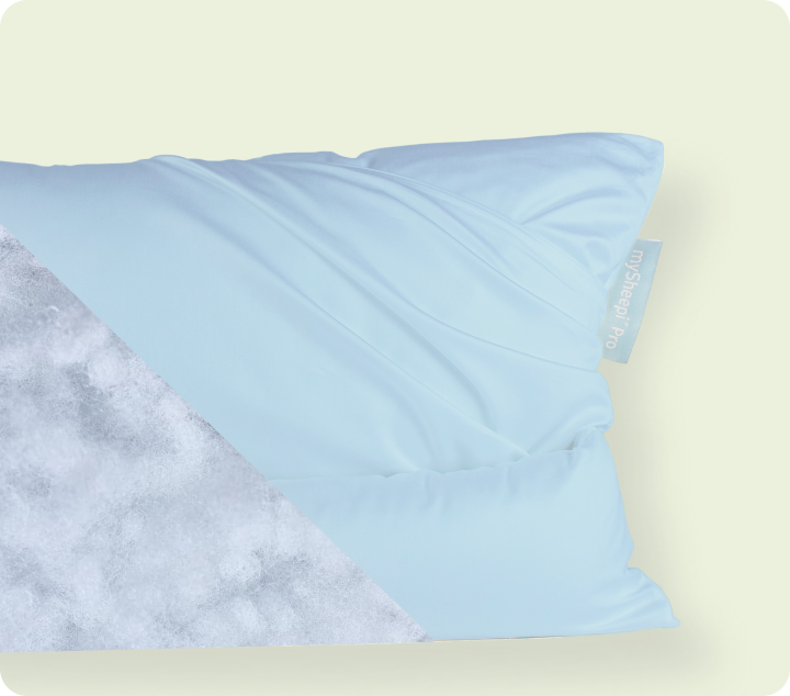 Home Pro Pillow
