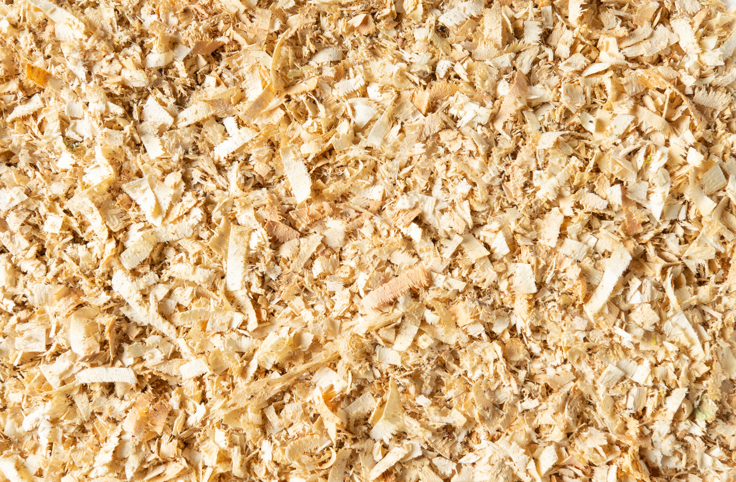 Basisfüllungen (50g Nachfüllpack)