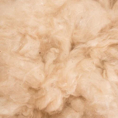 Product Kapok displayed on a clean background, showing main features and details, no visible text, neutral and inviting presentation